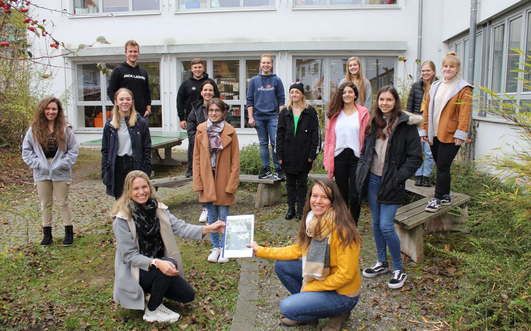 Wie wird man Forscher auf der Wiese?