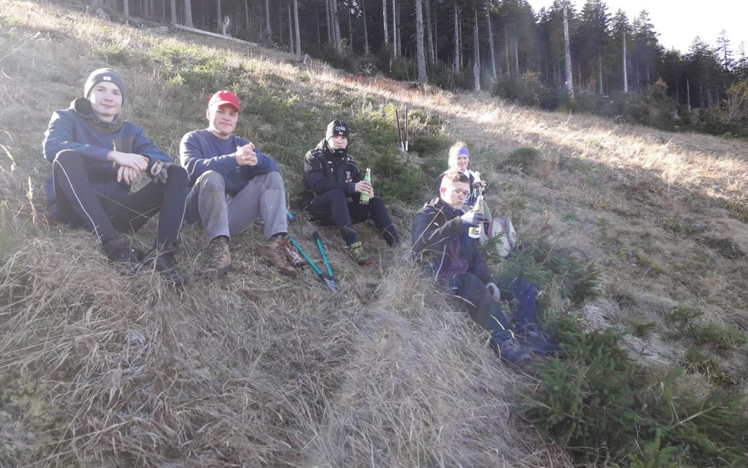 Arber statt Alpen – P-Seminar Sport in kreativem Trainingslager