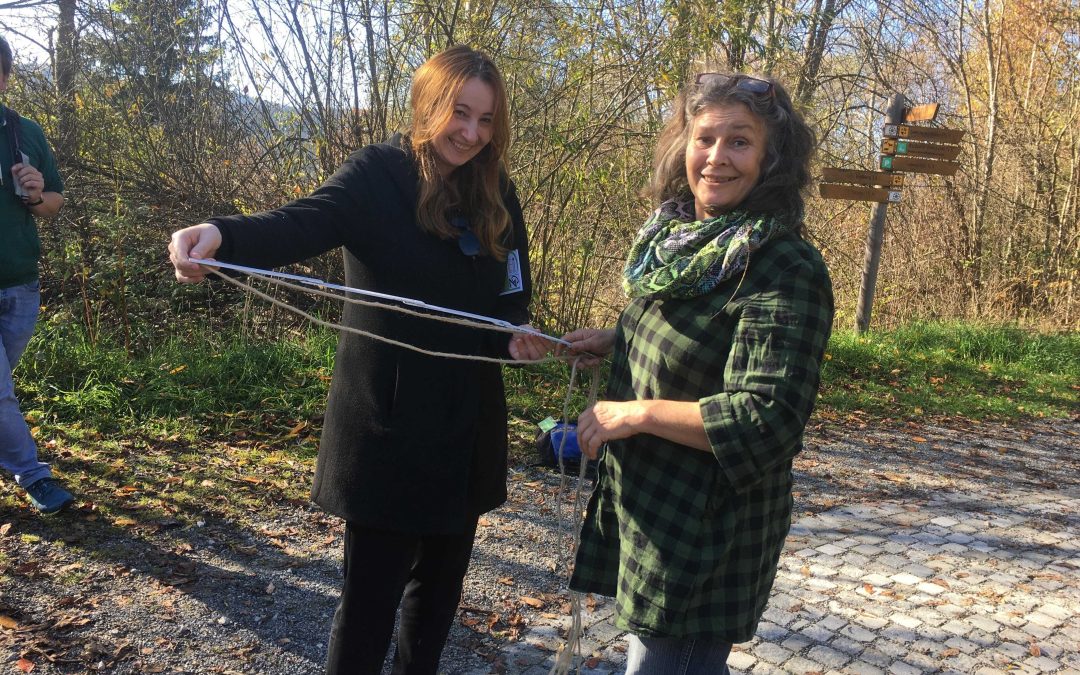 Mathematik in der Natur