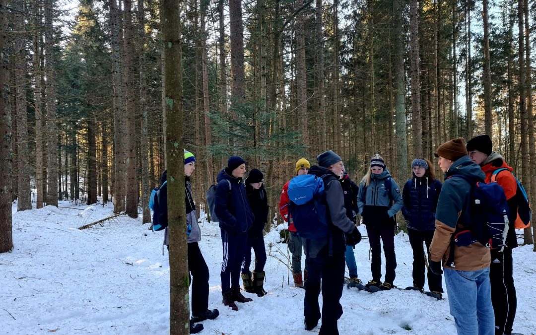 Auf den Spuren des Auerhahns