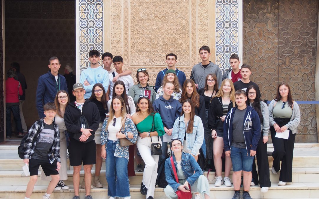 Einmal Andalusien und zurück