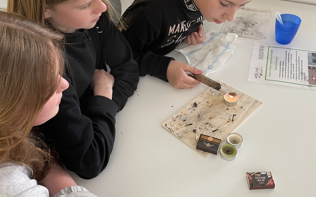 Lernen von der Natur