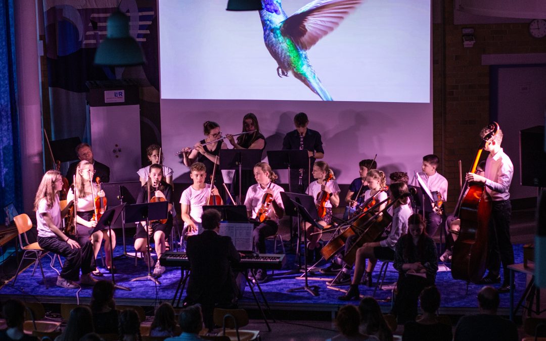Musikalische Höchstleistungen bei den Sommerkonzerten