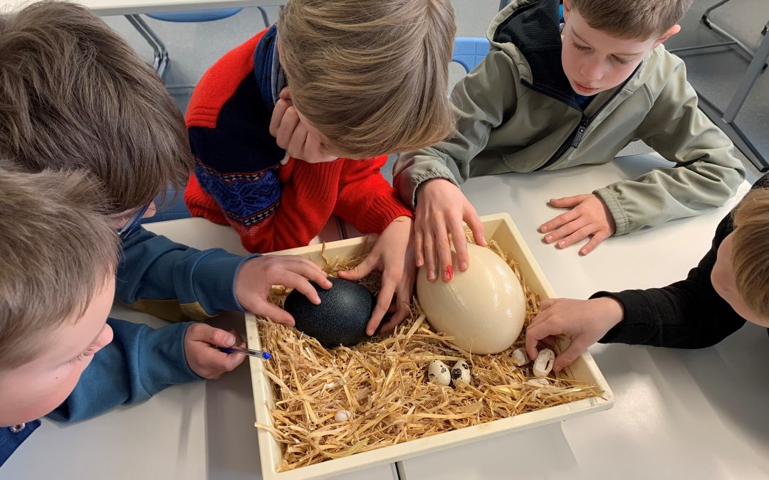 Abenteuertour durch das Gymnasium