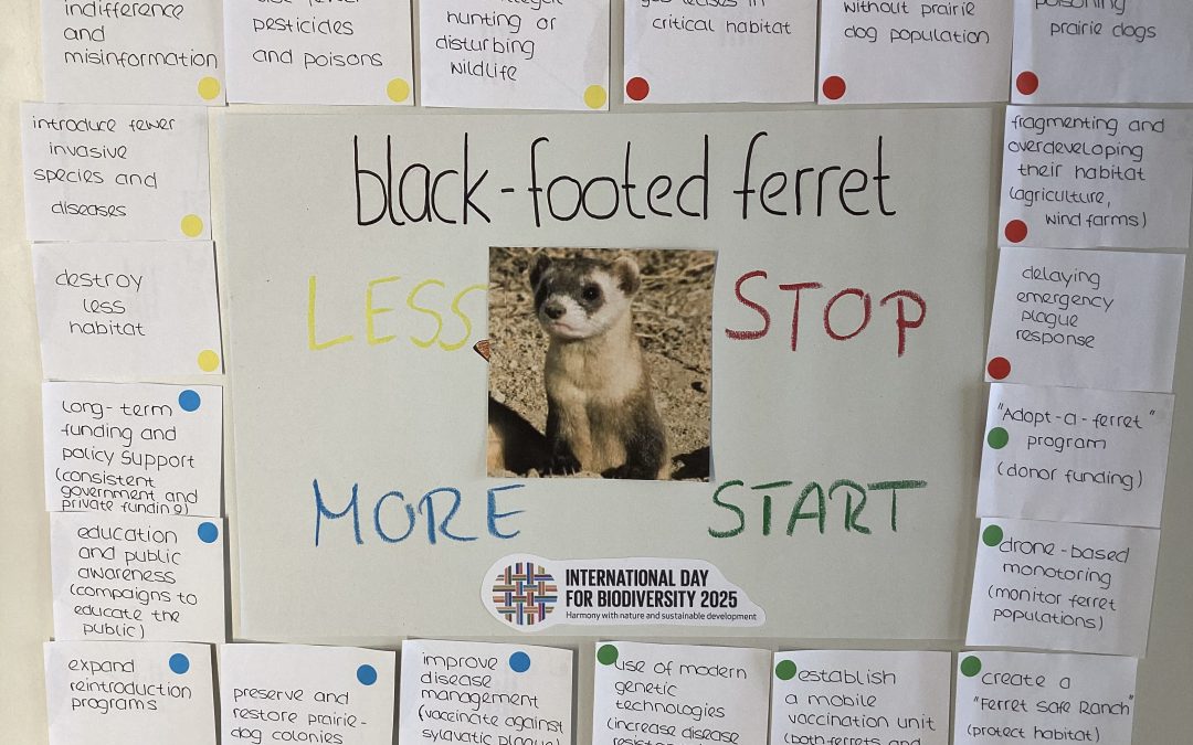 Biodiversität mit dem „Starfish“